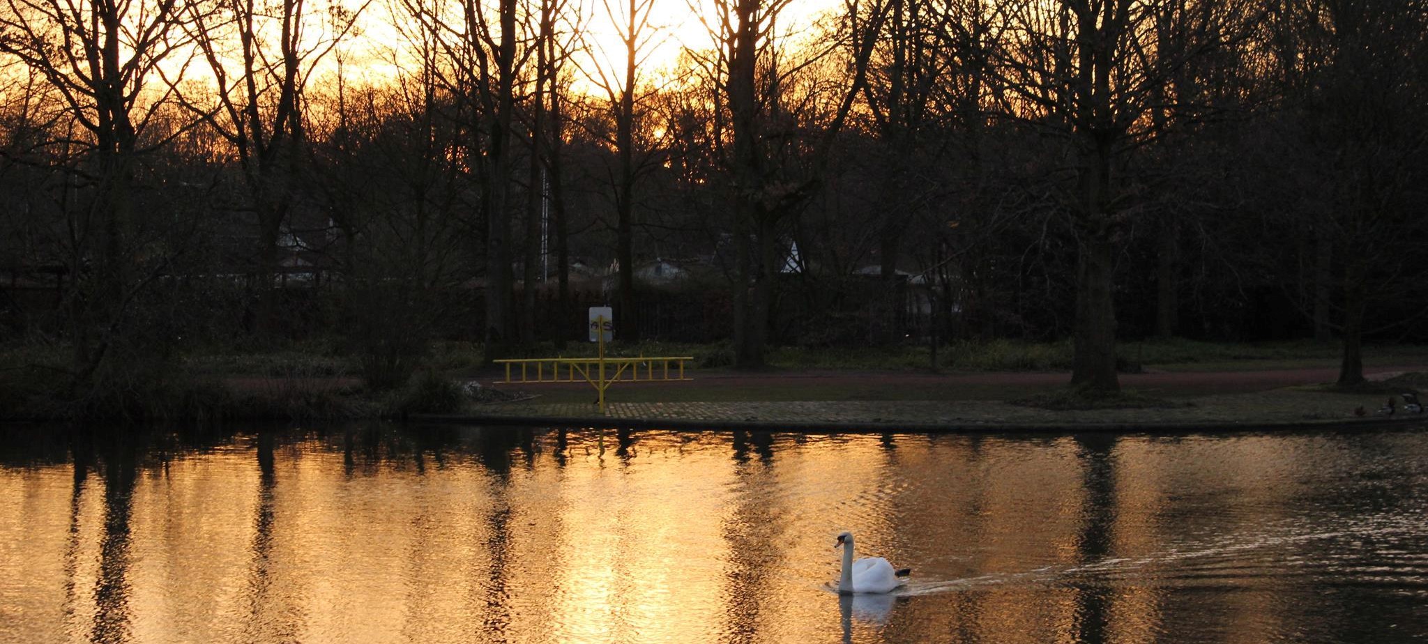 Winterliche Spaziergänge in Düsseldorf Winterliche Spaziergänge in Düsseldorf