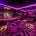 Capella Bar | Innenraum | Lieblingsläden | Mr. Düsseldorf
