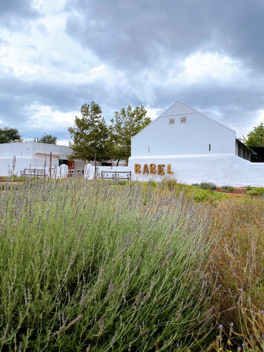 Reisebericht aus Kapstadt | Magazin – Mr. Düsseldorf | Franschhoek Babel Reisebericht aus Kapstadt | Magazin – Mr. Düsseldorf | Franschhoek Babel