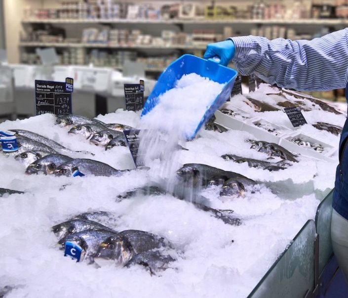 Fisch Foto: Metro Deutschland