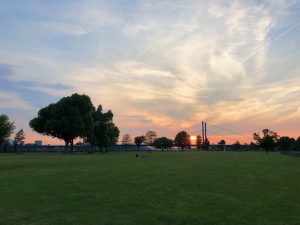 Rheinpark Golzheim | Top Sonnenuntergänge in Düsseldorf | Magazin | Mr. Düsseldorf | Foto: Mr. Düsseldorf