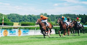 Galopprennbahn Düsseldorf | Lieblingsladen | Mr. Düsseldorf | Foto: Ho-Wing Siu