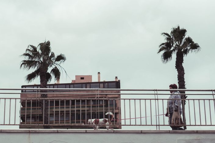 Sightseeing in Palma de Mallorca | Reisebericht aus Palma | Mr. Düsseldorf Sightseeing in Palma de Mallorca | Reisebericht aus Palma | Mr. Düsseldorf