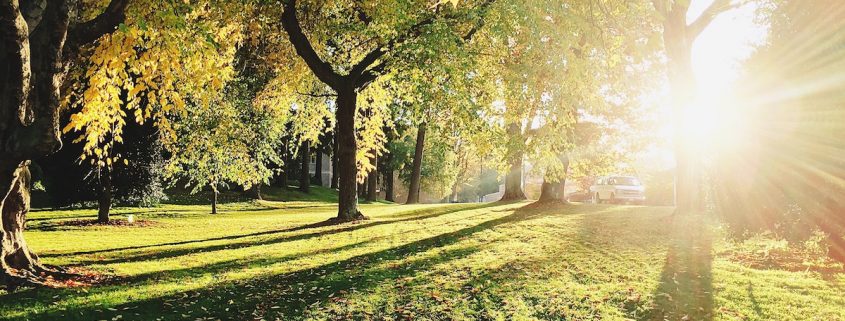Die schönsten Parks in Düsseldorf | Topliste | Mr. Düsseldorf