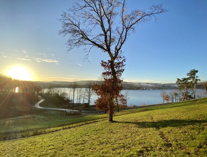 Seezeitlodge Hotel & Spa | Landschaft | Magazin | Mr. Düsseldorf | © Timo Beck Seezeitlodge Hotel & Spa | Landschaft | Magazin | Mr. Düsseldorf | © Timo Beck