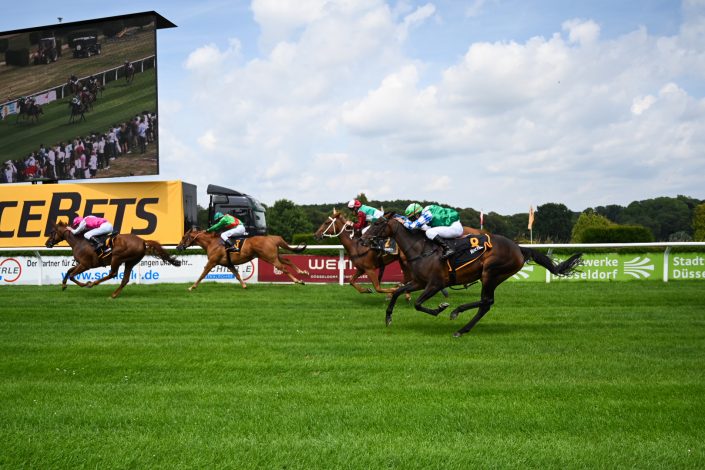 Galopprennbahn Düsseldorf | Magazin | Mr. Düsseldorf Galopprennbahn Düsseldorf | Magazin | Mr. Düsseldorf