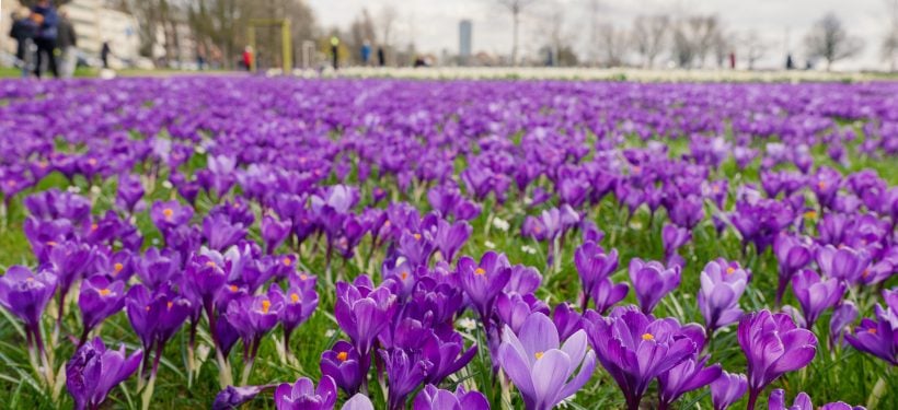 Die besten Tipps für Ostern in Düsseldorf | Magazin | Mr. Düsseldorf