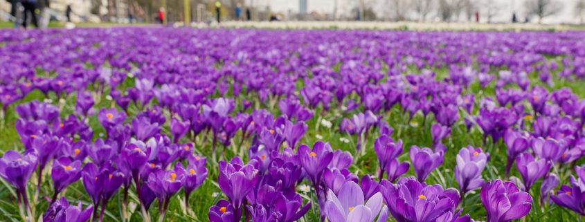 Die besten Tipps für Ostern in Düsseldorf | Magazin | Mr. Düsseldorf