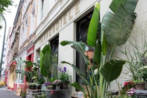 Tannendiele | Top Blumenläden in Düsseldorf | Magazin | Mr. Düsseldorf | Foto: Tannendiele