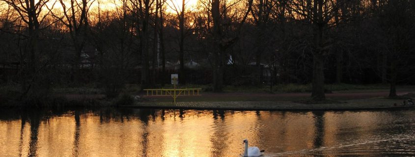 Winterliche Spaziergänge in Düsseldorf