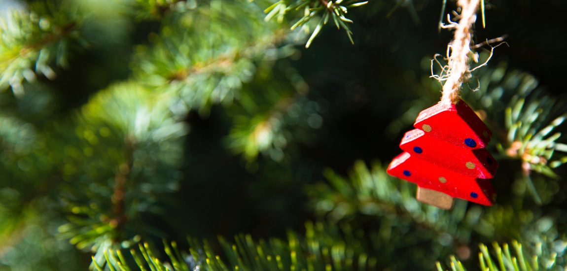 Tannenbaum | Mr. Düsseldorf