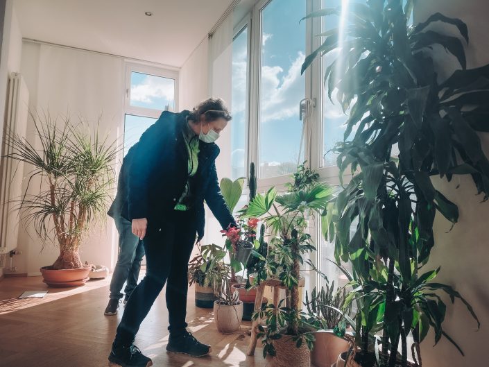 Zimmerpflanzen-Profi Frau Engels von Bogie's bei uns zu Hause | 8 Tipps für einen grüneren Daumen | Mr. Düsseldorf 2021