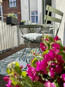 Pflanzen auf unserem großen, sonnigen Balkon zum Innenhof | 8 Tipps für euren grüneren Balkon mit Bogie's | Mr. Düsseldorf 2021