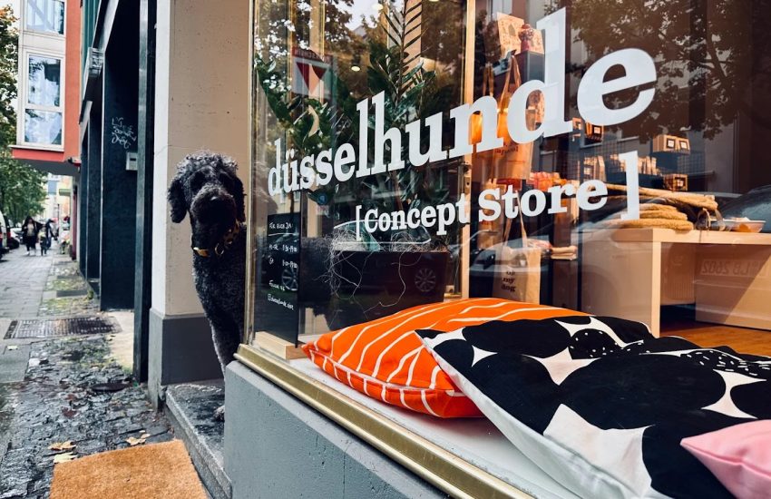 Düsselhunde | Düsseldorf Flingern: Hotspots auf der Ackerstraße | Mr. Düsseldorf | Topliste | Foto: Düsselhunde Düsselhunde | Düsseldorf Flingern: Hotspots auf der Ackerstraße | Mr. Düsseldorf | Topliste | Foto: Düsselhunde