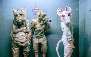 Der überaus starke Willibald | Mr. Düsseldorf | Düsseldates | Foto: Thomas Rabsch