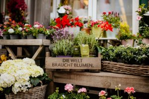 Carlsplatz | Top Blumenläden in Düsseldorf | Magazin | Mr. Düsseldorf | Foto: Kristina Fendesack