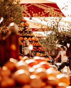 Gertrudenhof | Top Kürbis-Tipps in Düsseldorf & Umgebung | Mr. Düsseldorf | Foto: Gertrudenhof