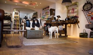 Dogsmopolitan | Top 10 Spots in Oberkassel | Mr. Düsseldorf | Foto: Dogsmopolitan