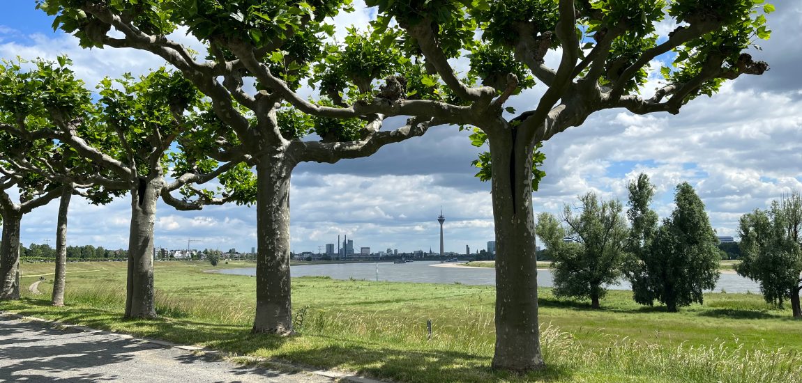 Rheinpark Heerdt | Die schönsten Parks in Düsseldorf | Mr. Düsseldorf | Foto: Pixabay / Ansgar Sporkmann