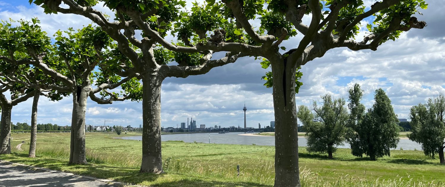 Rheinpark Heerdt | Die schönsten Parks in Düsseldorf | Mr. Düsseldorf | Foto: Pixabay / Ansgar Sporkmann Rheinpark Heerdt | Die schönsten Parks in Düsseldorf | Mr. Düsseldorf | Foto: Pixabay / Ansgar Sporkmann