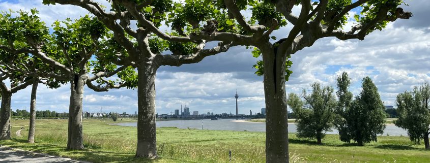 Rheinpark Heerdt | Die schönsten Parks in Düsseldorf | Mr. Düsseldorf | Foto: Pixabay / Ansgar Sporkmann
