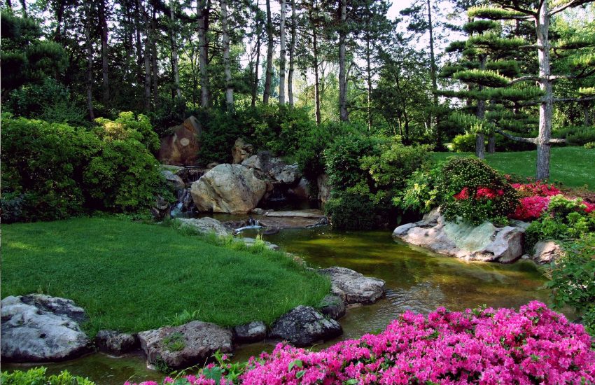 Japanischer Garten | Die schönsten Parks in Düsseldorf | Mr. Düsseldorf | Foto: Pixabay
