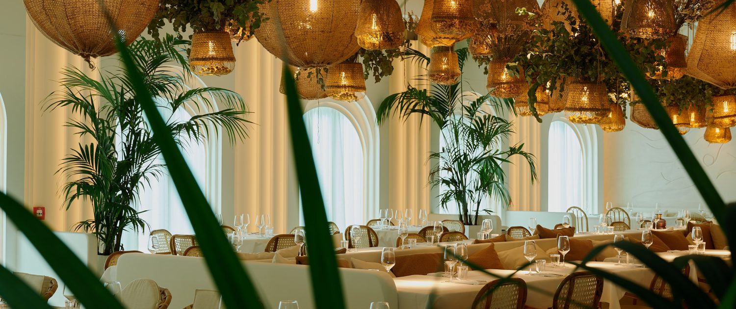 Top Restaurants in Düsseldorf | Magazin | Mr. Düsseldorf | Foto: The Paradise Now / Robert Rieger