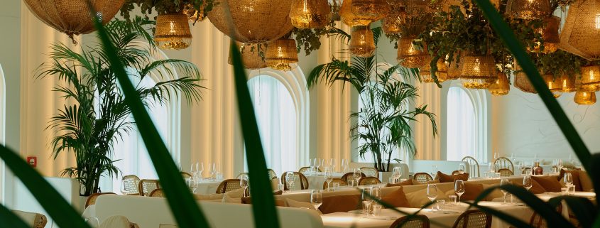 Top Restaurants in Düsseldorf | Magazin | Mr. Düsseldorf | Foto: The Paradise Now / Robert Rieger