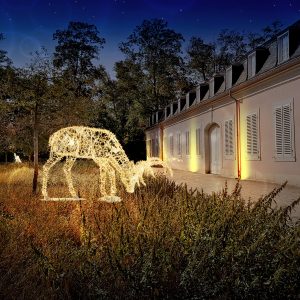 Lumagica Düsseldorf | Düsseldates | Mr. Düsseldorf | Lumagica