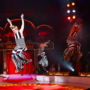 Circus-Theater Roncalli | Mr. Düsseldorf | Magazin | Foto: Circus-Theater Roncalli