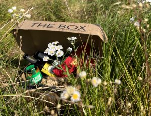 The Box Sommer Edition August 2022