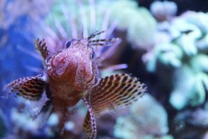 Aquazoo Löbbecke Museum | Die besten Tipps für Eltern und Kind | Magazin | Mr. Düsseldorf | Foto: Aquazoo Löbbecke Museum