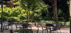 Schillings | Top Kürbis-Tipps in Düsseldorf & Umgebung | Mr. Düsseldorf | Foto: Schillings