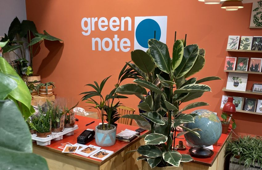 Green Note | Top Geschäfte für Pflanzen kaufen in Düsseldorf | Topliste | Mr. Düsseldorf | Foto: Alexandra Simankova