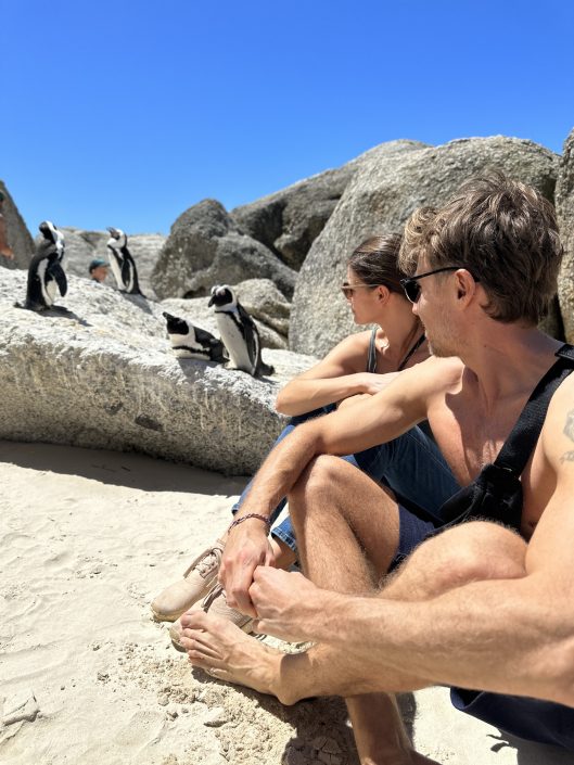 Pinguine am Boulders Beach