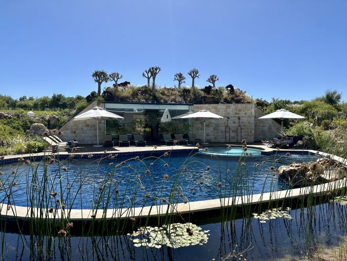 Our Fynbos private pool