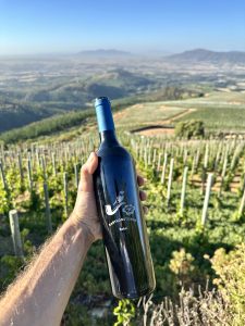 View over the wines with a bottle of blend