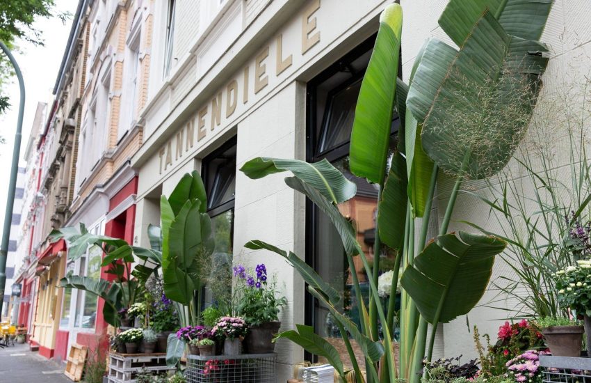 Tannendiele | Top Geschäfte für Pflanzen kaufen in Düsseldorf | Topliste | Mr. Düsseldorf | Foto: Tannendiele