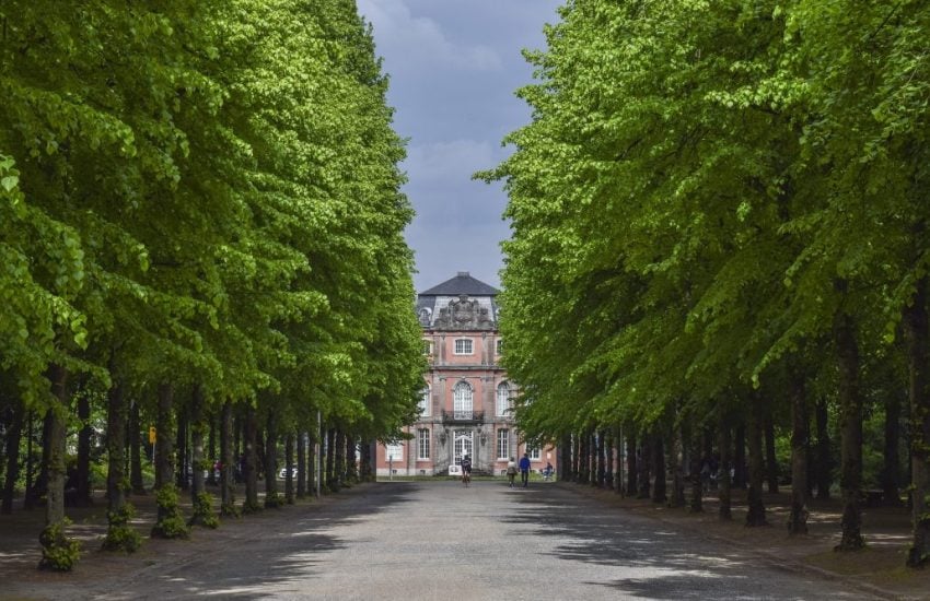 Hofgarten | Die schönsten Ideen zum Muttertag | Mr. Düsseldorf | Foto: Pixabay