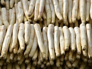 Frenkenhof | Der beste Spargel in Düsseldorf & Umgebung | Magazin | Mr. Düsseldorf | Foto: Waldemar / unsplash
