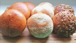 Schüren | Die besten Traditionsbäckereien in Düsseldorf | Topliste | Mr. Düsseldorf | Foto: Schüren
