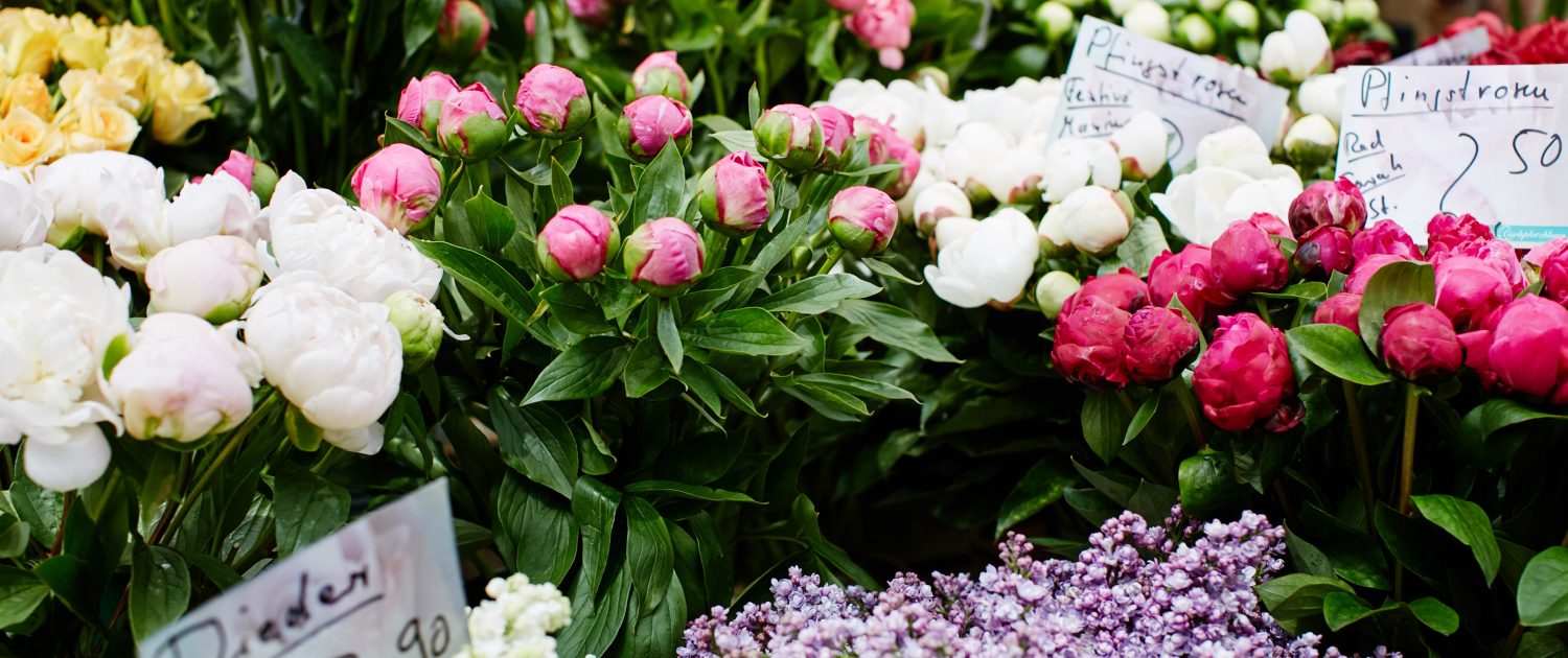 Top Blumenläden in Düsseldorf | Magazin | Mr. Düsseldorf | Foto: Carlsplatz