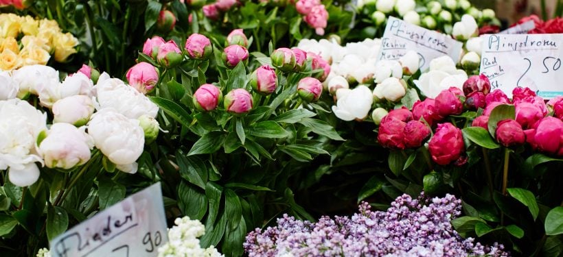 Top Blumenläden in Düsseldorf | Magazin | Mr. Düsseldorf | Foto: Carlsplatz