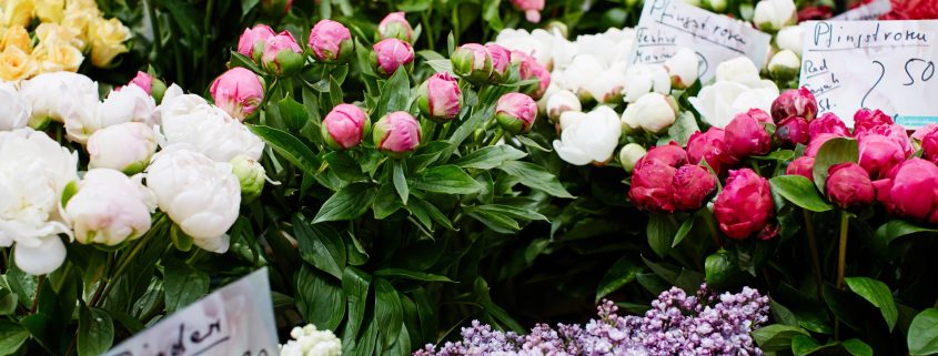 Top Blumenläden in Düsseldorf | Magazin | Mr. Düsseldorf | Foto: Carlsplatz