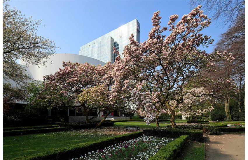 Goltstein-Parterre | Die schönsten Kirschblüten-Plätze in Düsseldorf | Mr. Düsseldorf | Topliste | Foto: Holger Klaes