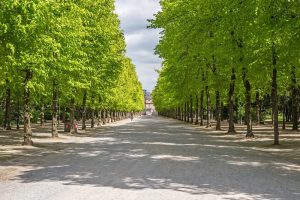 Hofgarten | Top Sehenswürdigkeiten in Düsseldorf | Mr. Düsseldorf | Foto: Shutterstock
