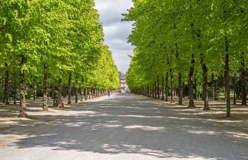 Hofgarten | Top Sehenswürdigkeiten in Düsseldorf | Mr. Düsseldorf | Foto: Shutterstock