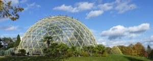 Botanischer Garten | Top Foto-Spots in Düsseldorf | Foto: Botanischer Garten