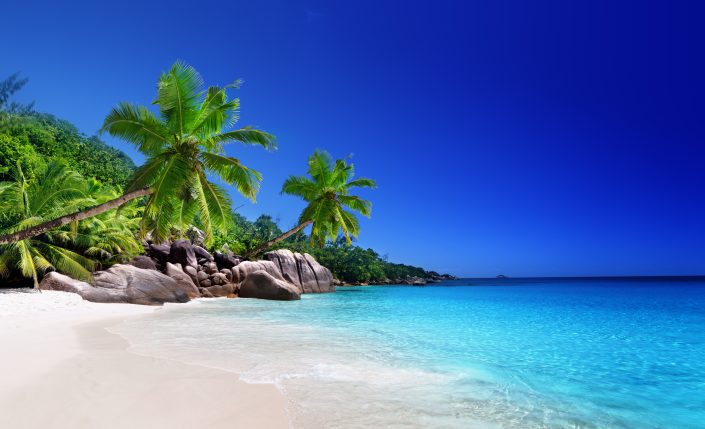 beach at Praslin island, Seychelles