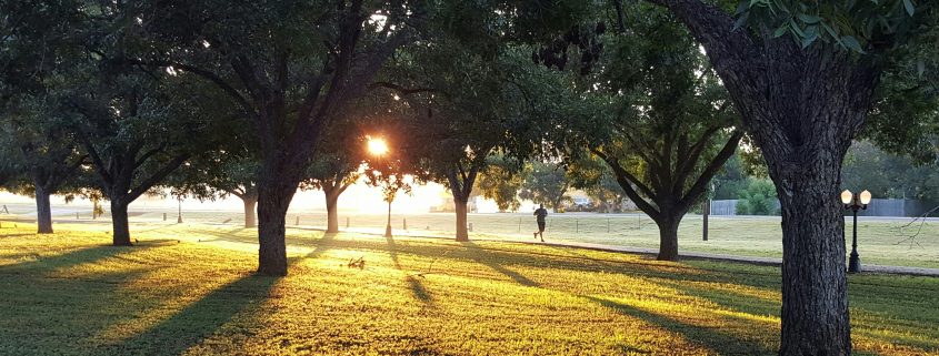 Titelbild | Top Lauftreffs in Düsseldorf | Mr. Düsseldorf | Foto: Unsplash